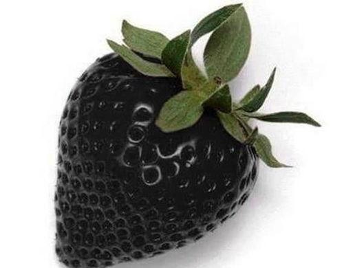 海角吃瓜黑料,黑料背后的真相与反思